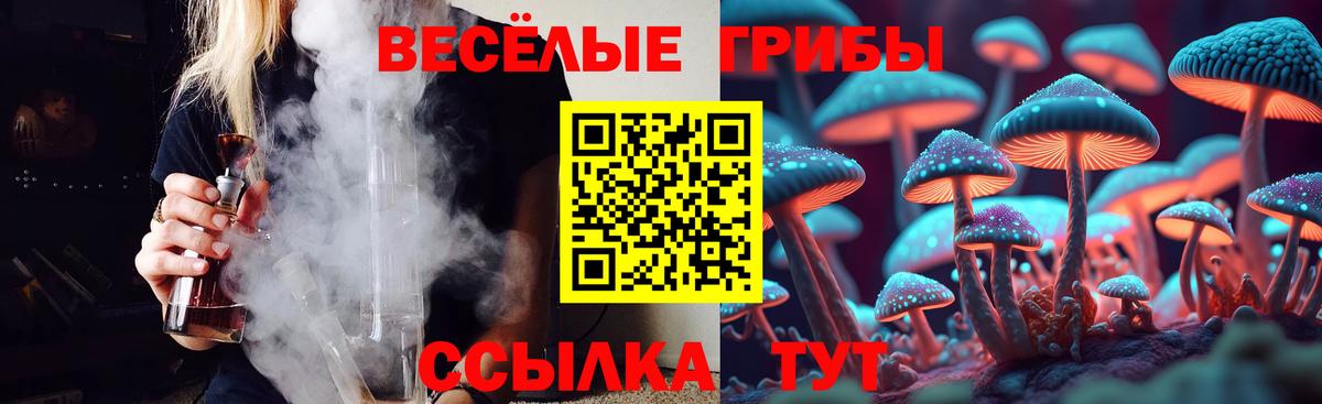 Псилоцибиновые грибы Magic Shrooms  Вход с VPN  Новодвинск 