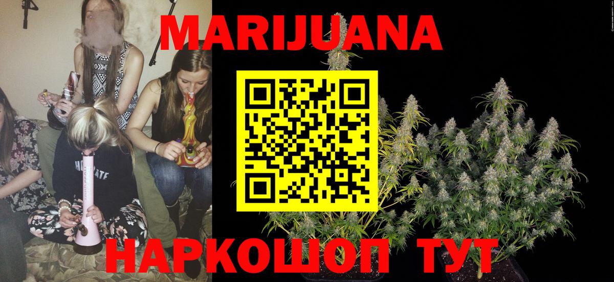 Каннабис гибрид Новодвинск